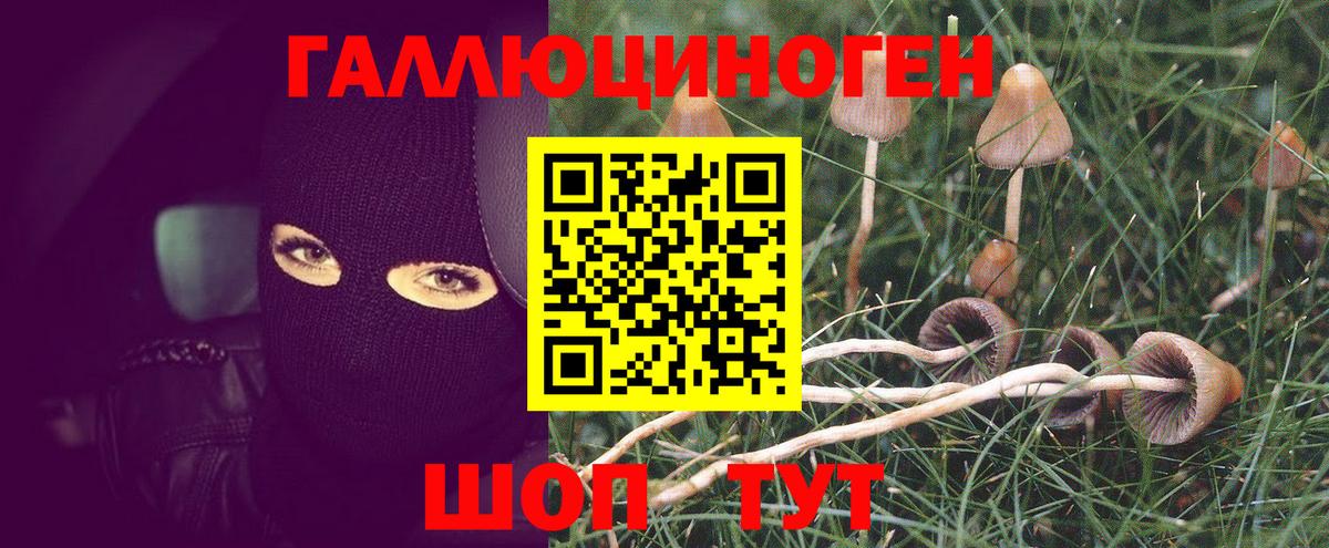 Псилоцибиновые грибы мицелий  Вход с VPN  Азов 